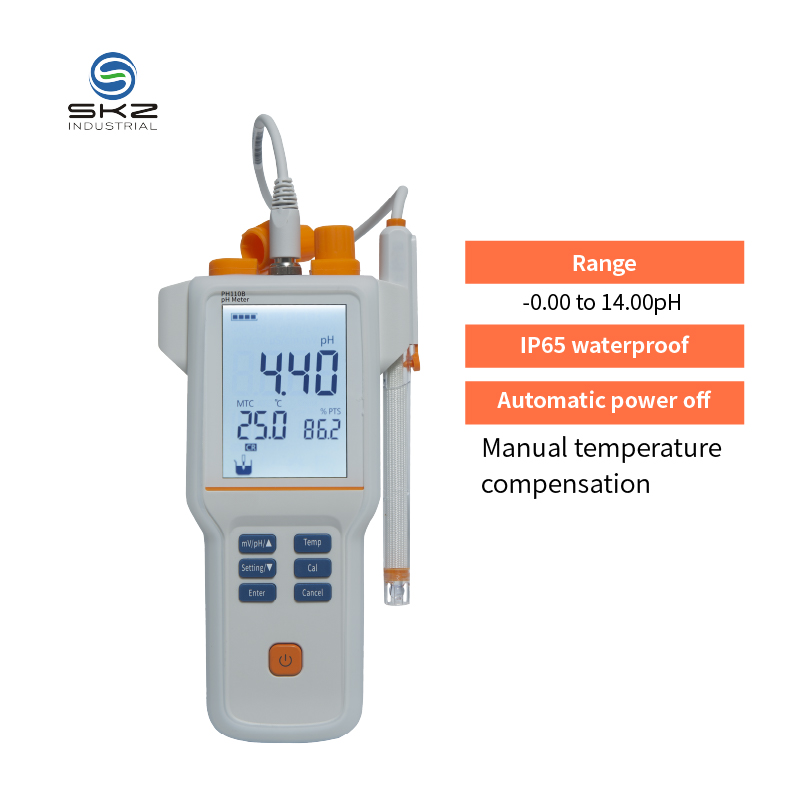 PH110B  0.1 Actually LCD PH Me - Ph Meter recensione e prezzo