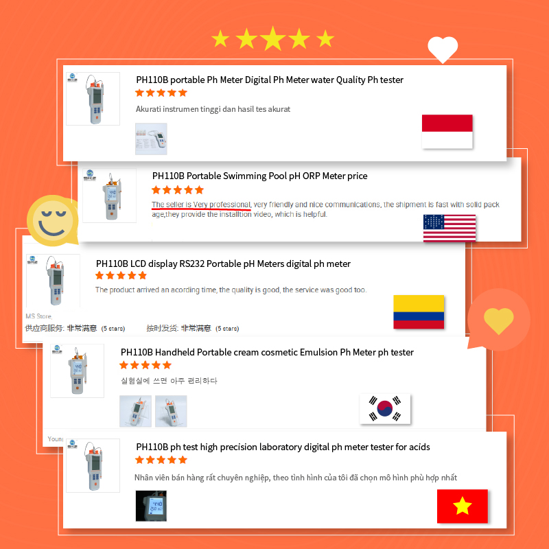 PH110B  0.1 Actually LCD PH Me - Ph Meter recensione e prezzo