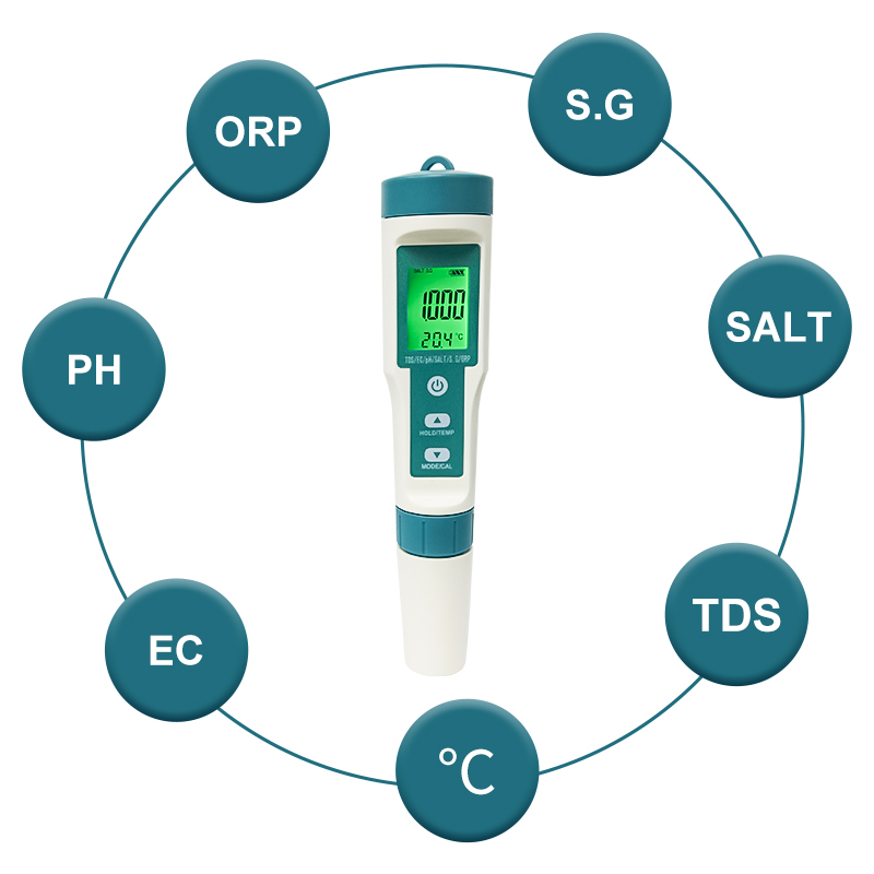 WESTTUNE Digital PH Meter 7 In - Ph Meter recensione e prezzo