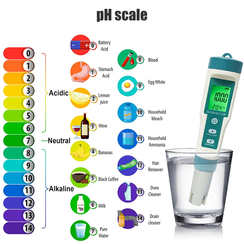 WESTTUNE Digital PH Meter 7 In - Ph Meter recensione e prezzo