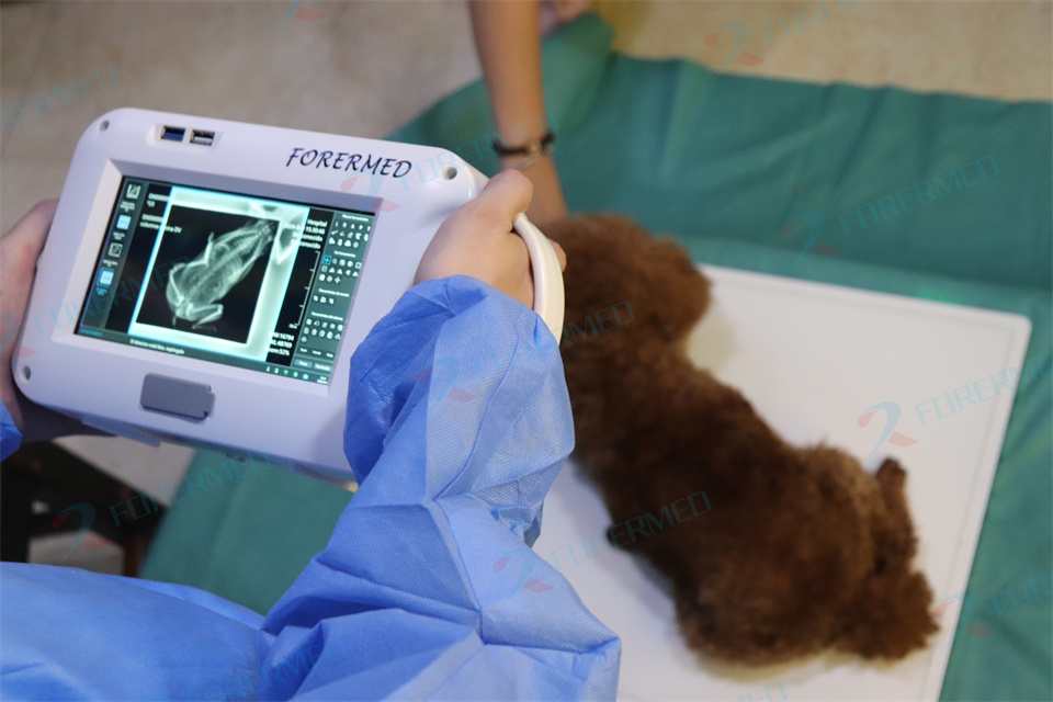 Mini Veterinary X Ray Machine  - Veterinary X-Ray recensione e prezzo