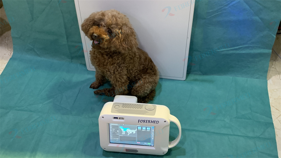 Mini Veterinary X Ray Machine  - Veterinary X-Ray recensione e prezzo